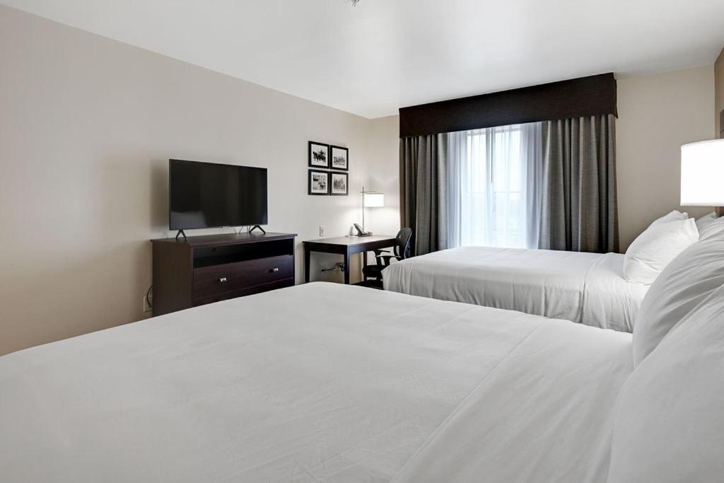 Cobblestone Hotel & Suites - Mosinee Exterior foto